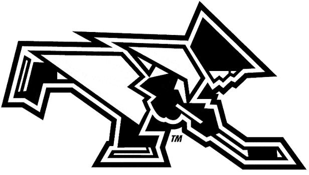 Providence Friars 2000-Pres Misc Logo iron on transfers for fabric